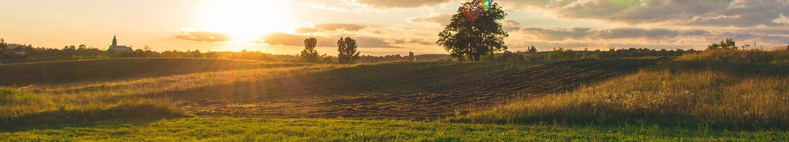 85 Ft Line | 10 Nozzle Power – 700 sq ft High Pressure Ultra Cooling Misting Solution