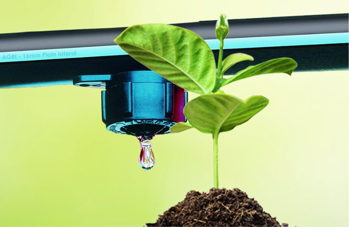DRIP IRRIGATION